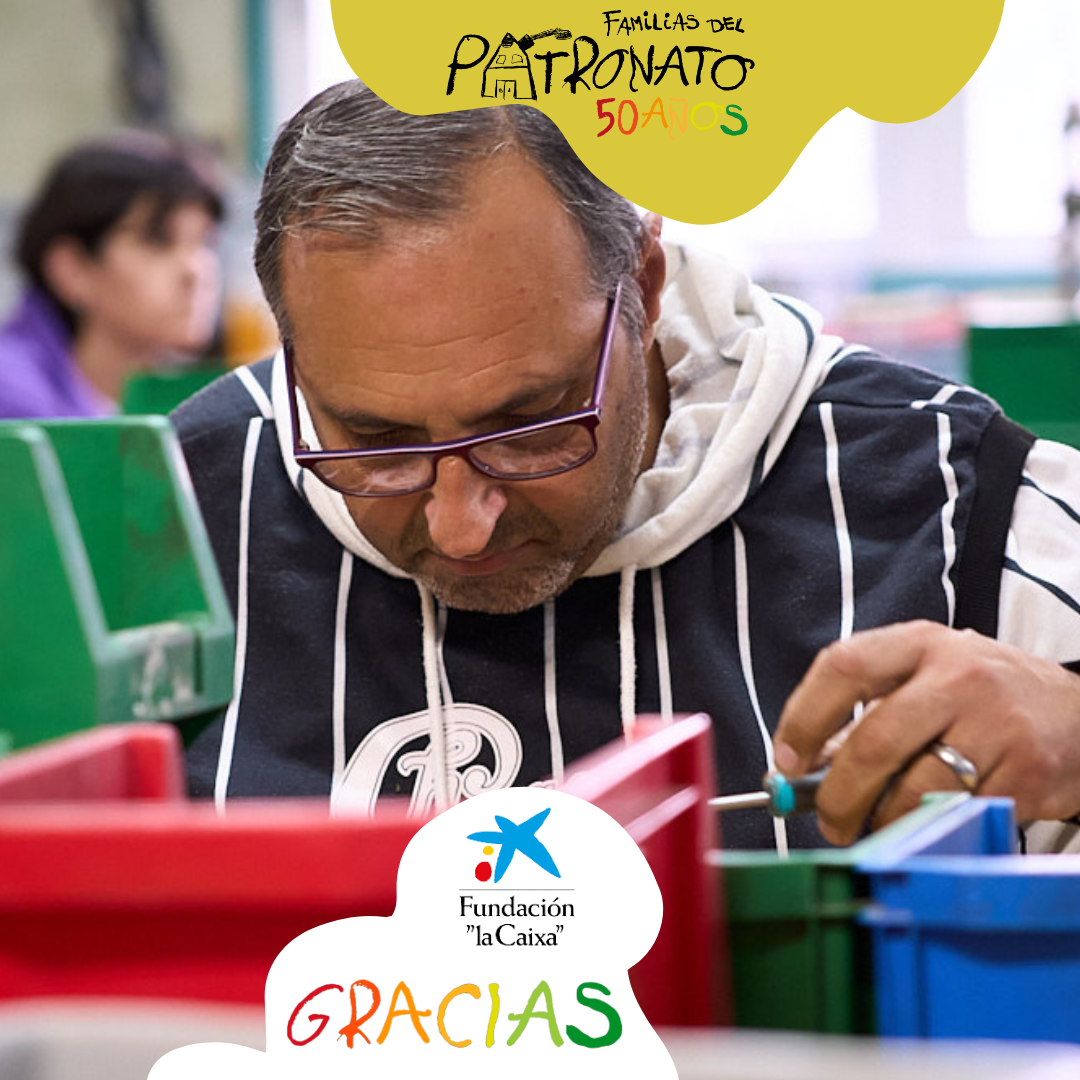 Programa de inclusión socio-laboral